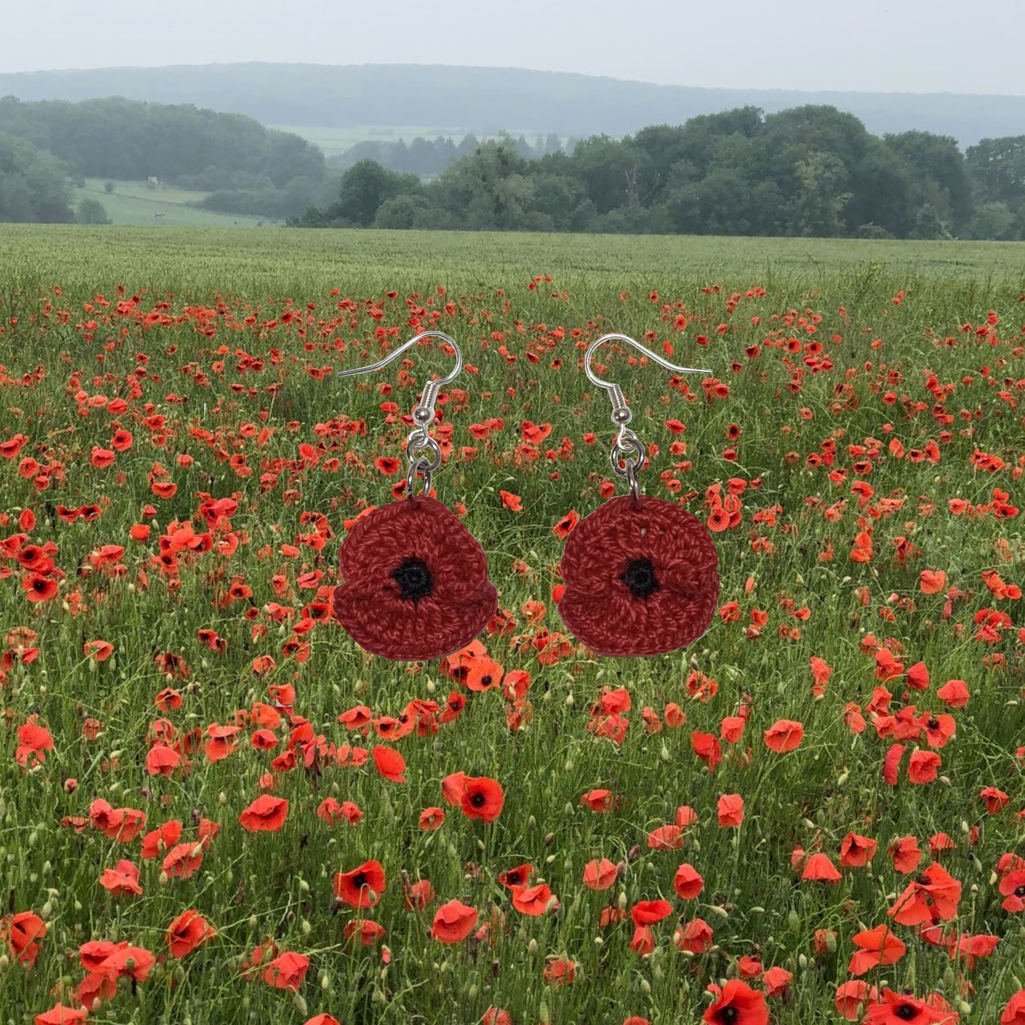 Poppy Flowers